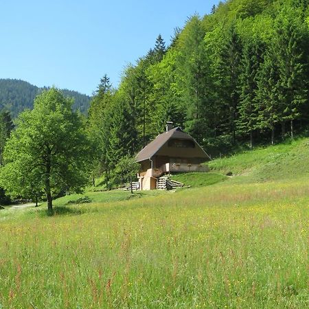 Apartmaji Brloznica Pod Veliko Planino Luce Bilik gambar