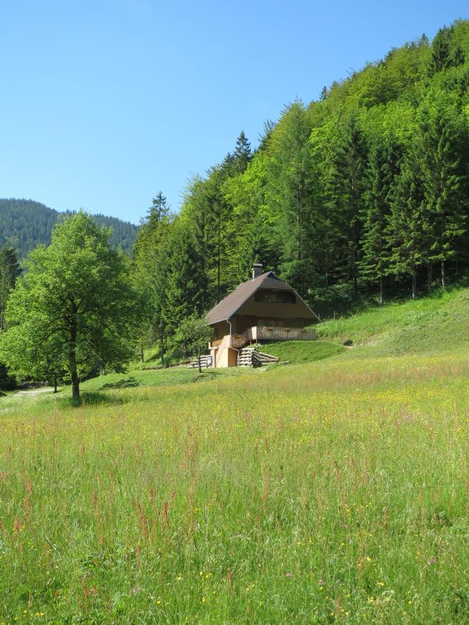 Apartmaji Brloznica Pod Veliko Planino Luce Bilik gambar